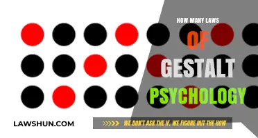 Exploring the Principles of Gestalt Psychology: A Comprehensive Guide