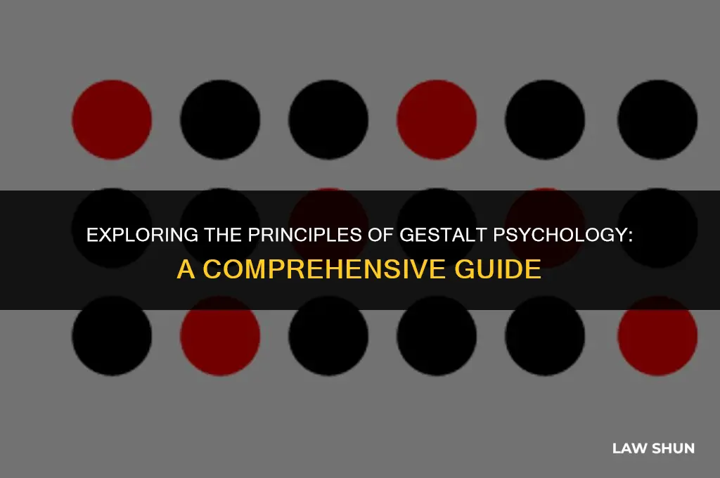 how many laws of gestalt psychology