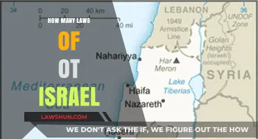 Exploring the Depths: A Comprehensive Guide to Israel's Laws