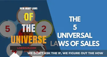 Unveiling the Cosmic Blueprint: A Journey Through Universal Laws