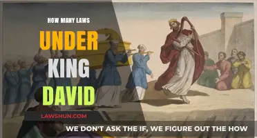 Exploring the Legal Landscape of King David's Reign: A Comprehensive Guide