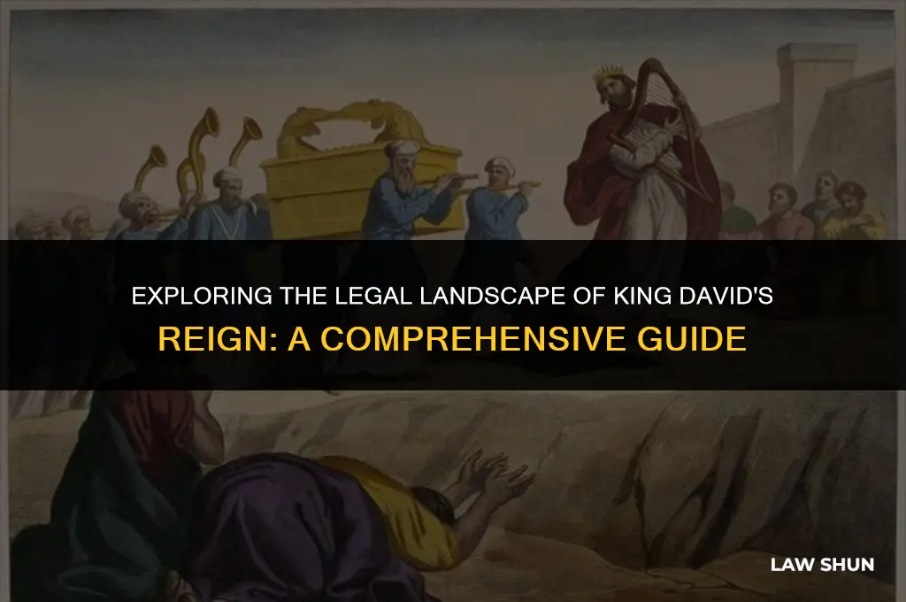 how many laws under king david