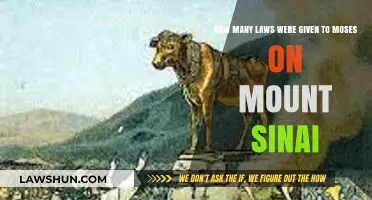 The Divine Commandments: Unveiling Moses' Laws from Mount Sinai