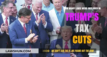 Trump's Tax Cuts: How Many Laws Were Changed?