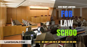 Navigating Law School Admissions: The Ideal Number of Lawyers to Consult