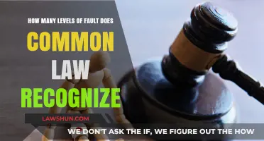 Degrees of Fault in Common Law: How Many?