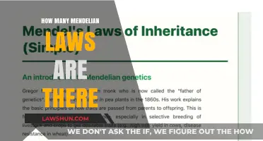 Exploring the Foundations of Genetics: Mendel's Laws Unveiled
