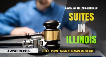 Illinois Million-Dollar Lawsuits: Uncovering the State's High-Stakes Legal Battles