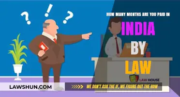 Paid Salaries in India: How Many Months Are Legal?