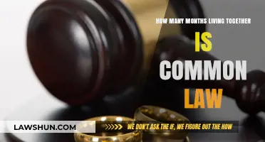 Living Together: When Does Common Law Apply?