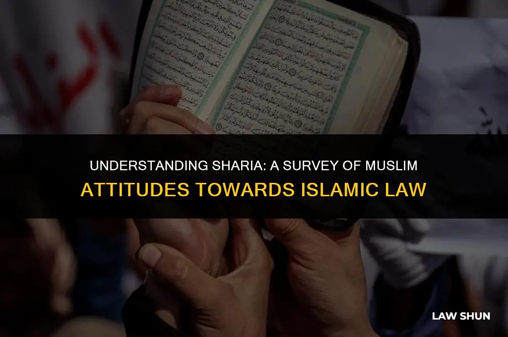 how many muslims want sheria law
