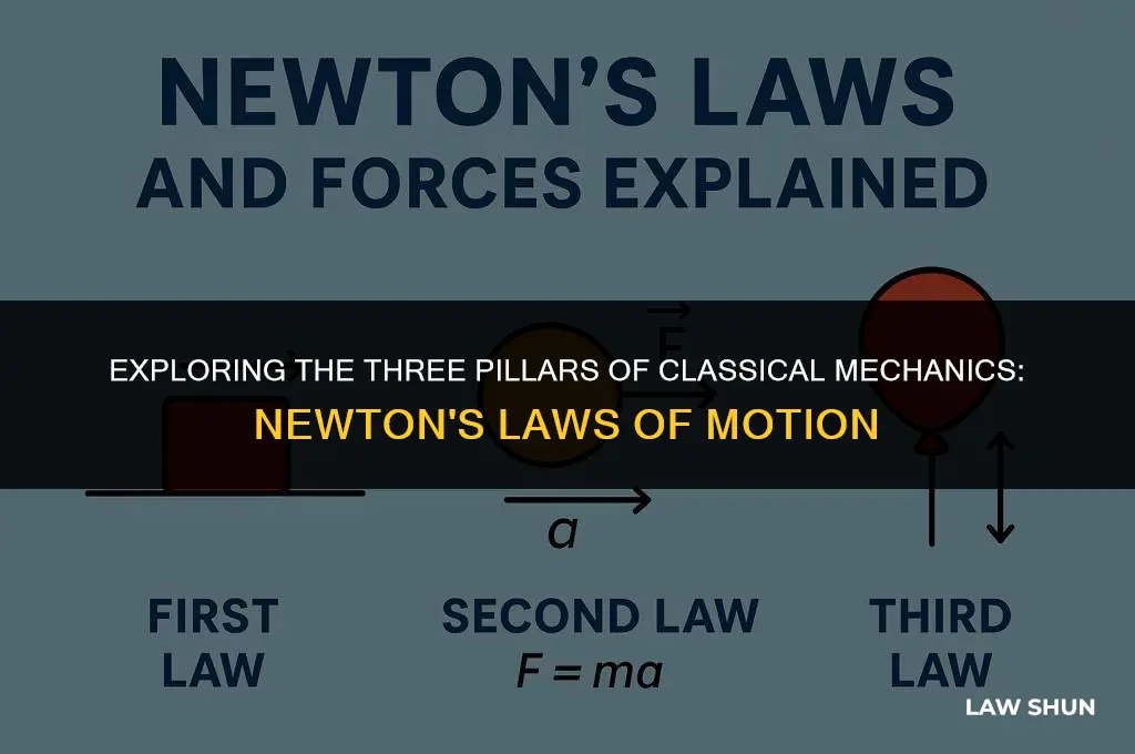 how many newtonian laws of motion