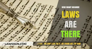Exploring the Seven Noahide Laws: A Comprehensive Guide