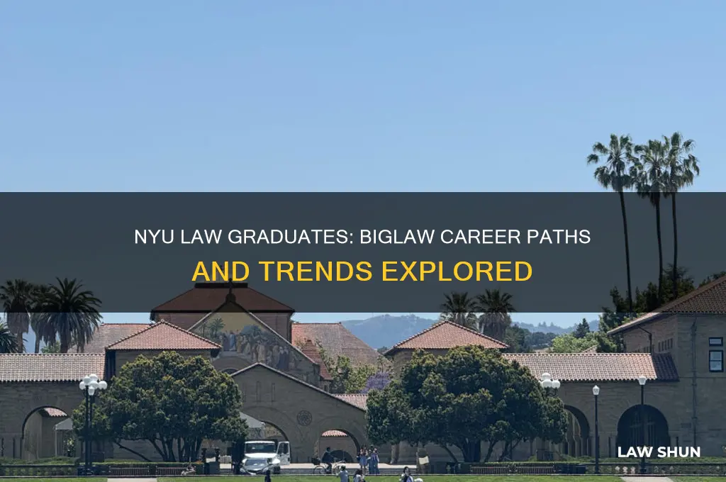 how many nyu law students go into biglaw