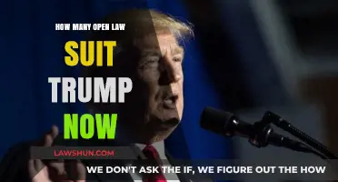 Trump's Legal Battles: Tracking the Number of Open Lawsuits Today