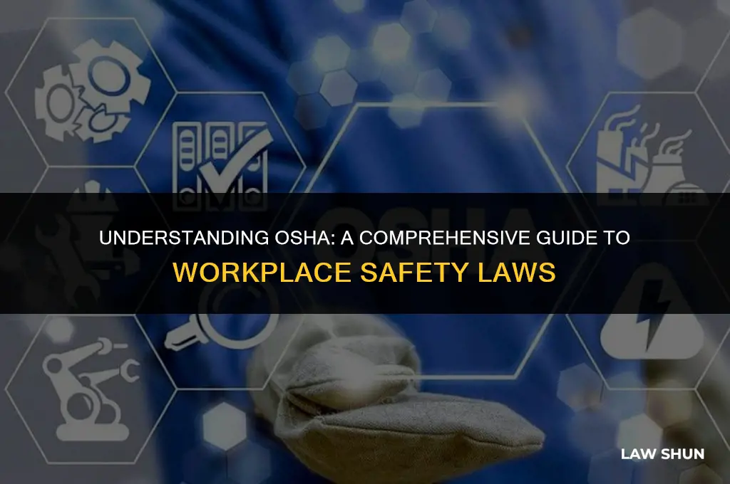 how many osha laws are there