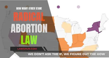 Exploring States with Radical Abortion Laws and Their Numbers