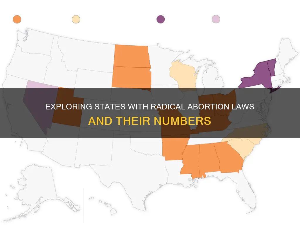 how many other stahe radical abortion law