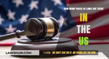 Unraveling the Vast US Legal System: Pages of Laws Explored