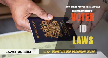 Voter ID Laws: Uncovering the True Scale of Disenfranchisement