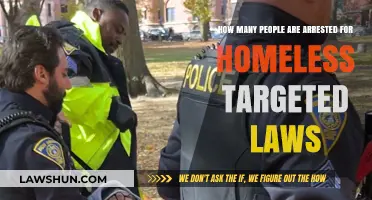 Arrests Under Homeless-Targeted Laws: A Growing Concern Nationwide