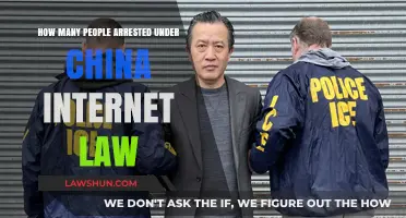 China's Internet Law: Arrests and Impact on Online Freedom