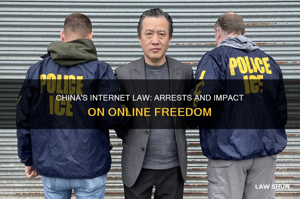 how many people arrested under china internet law