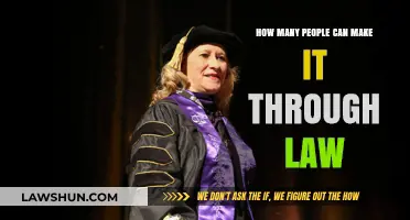 The Challenge: Making It Through Law School