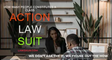 Class Action Lawsuits: Who Can Join Forces?