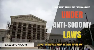 Unveiling America's Anti-Sodomy Convictions: A Historical Legal Analysis