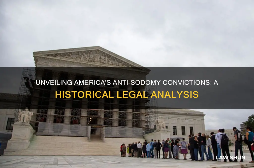 how many people did the us convict under anti-sodomy laws