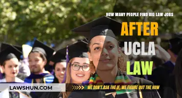 UCLA Law Graduates' Big Law Job Placement Rates Revealed