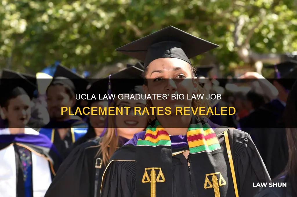 how many people find big law jobs after ucla law