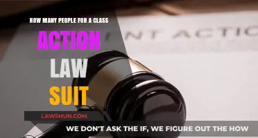 Understanding Class Action Lawsuits: How Many People Are Needed to File?