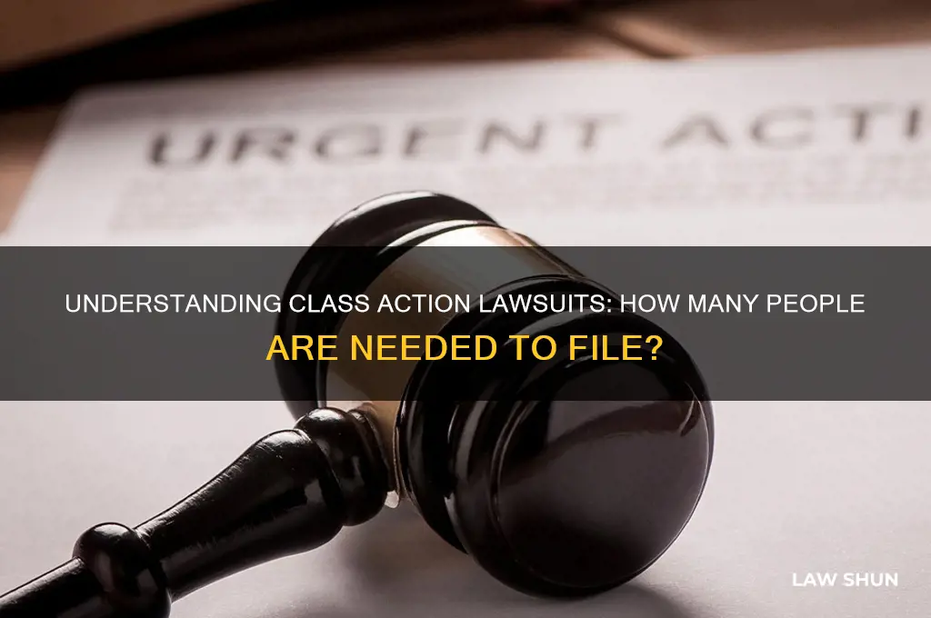 how many people for a class action law suit
