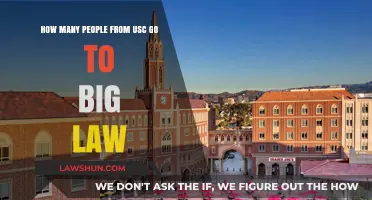 USC Graduates in Big Law: Analyzing Career Paths and Success Rates