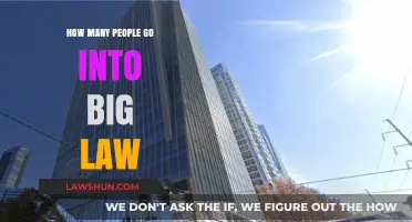 Exploring the Path: How Many Aspire to Big Law Careers?