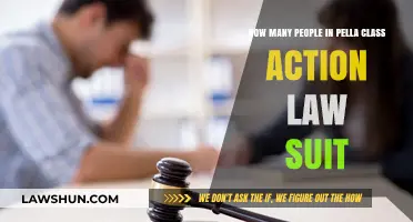 Pella Class Action Lawsuit: Understanding the Scope of Affected Individuals
