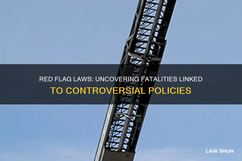 how many people killed in reg flag law