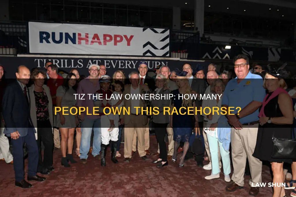 how many people own tiz the law