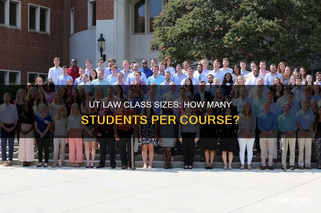 how many people per class at ut law