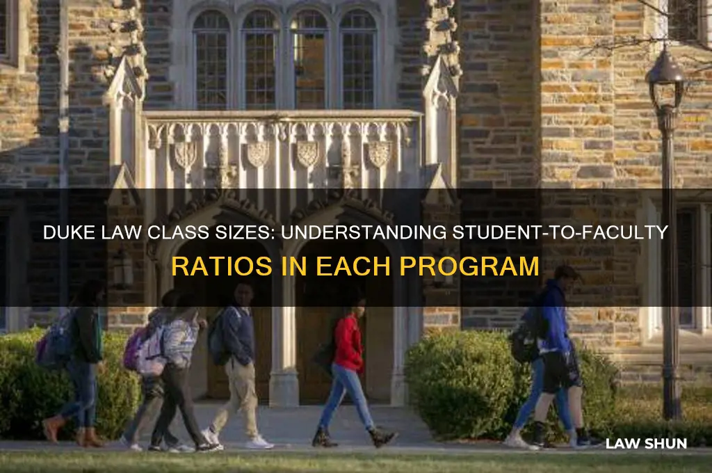 how many people per class in duke law