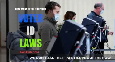 Voter ID Laws: Gauging Public Support and Divisive Opinions