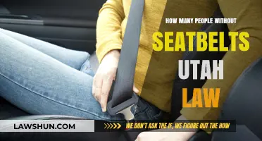 Utah Seatbelt Laws: Consequences of Driving Without Buckling Up