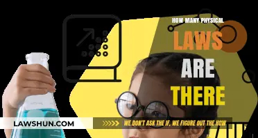 Exploring the Fundamental Forces: A Guide to Physical Laws