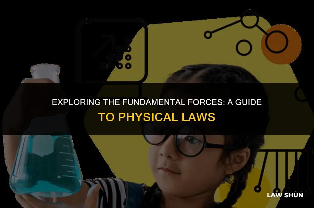 how many physical laws are there