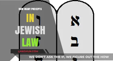 Exploring the Core Principles: A Guide to Jewish Law's Key Precepts