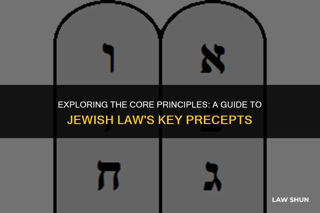 how many precepts in jewish law