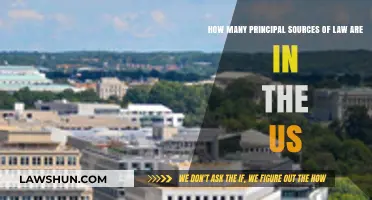 Understanding the Principal Sources of Law in the United States