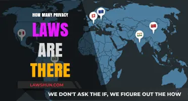 Exploring the Complex Landscape of Global Privacy Legislation